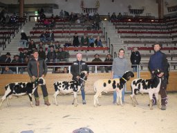 2025 Bilder 1A Tiere &raquo; 2025 1A Tiere Miesbach